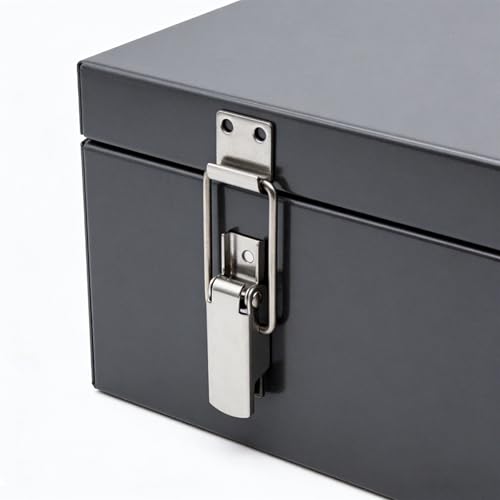 304 Stainless Steel Toggle Latch with Lock Hole, Heavy Duty & Rustproof Metal Catch Clip for Toolbox, Case, Furniture & Storage – Easy Install, Polished Finish, Durable Hardware (2, Silvery)