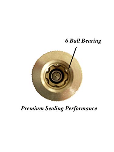 SANFU 1/4-Inch Brass Female Industrial Coupler, Air Hose Fittings 1/4-Inch Female Threads Quick Connector Air Coupler with Storage Case, 10-Pack - style: 10PCS Brass 1/4" Female Coupler