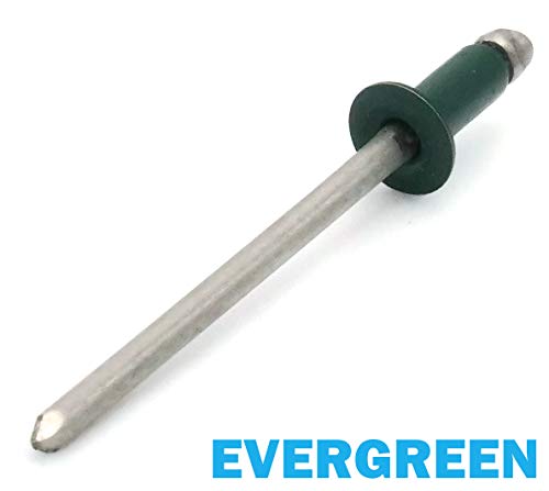 Colored Pop Rivets 1/8 Diameter #4 304 Stainless Steel Painted Blind Rivets 4-3, 1/8" x 3/16" Grip (100, Evergreen) - color: Evergreen