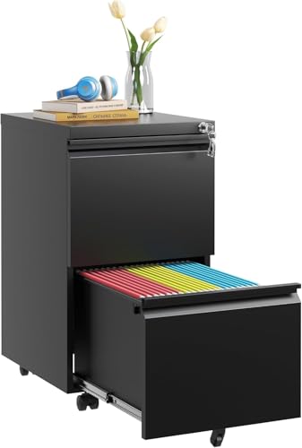 Guizeeopo 2 Drawer Locking File Cabinet, Fully Assembled Heavy-Duty Metal Filing Cabinets for Home Office, Quiet Slides, Anti-Tipping Wheels, Fits A4/Letter/Legal, Matte Black - color: 04-b Black