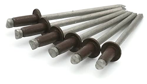 Colored Pop Rivets 1/8 Diameter #4 304 Stainless Steel Painted Blind Rivets 4-3, 1/8" x 3/16" Grip (100, Brown) - color: Brown