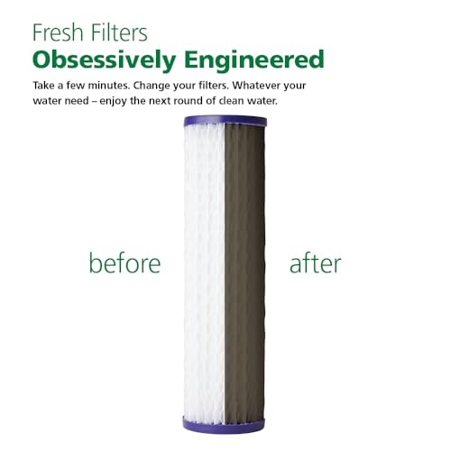 A. O. Smith 2.5"x10" 20-Micron Universal Sediment Filter | AO-WH-PRE-RP2
