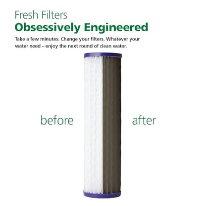 A. O. Smith 2.5"x10" 20-Micron Universal Sediment Filter | AO-WH-PRE-RP2