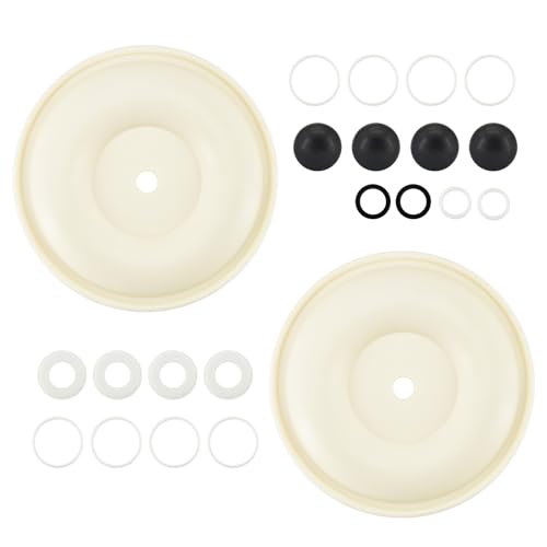 D07-525 Diaphragm Pump Repair Kit