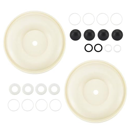 D07-525 Diaphragm Pump Repair Kit