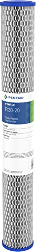 Pentair Pentek R30-20 Sediment Water Filter, 20-Inch, Whole House Pleated Polyester Filter Cartridge, 20" x 2.5", 30 Micron, White, 1 Count (Pack of 1)