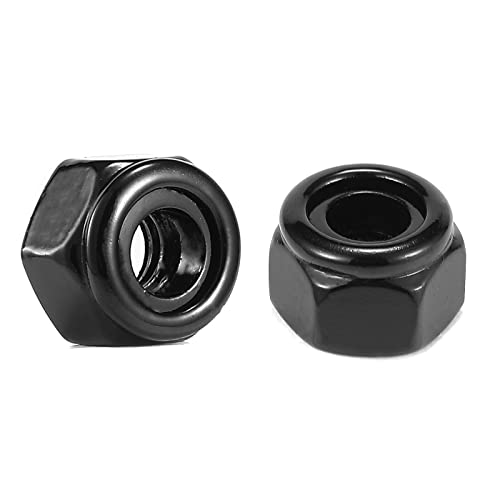1/4-20 Nylon Insert Hex Lock Nuts 100Pcs 304 Stainless Steel Locknuts, Hex Drive, Bright Finish, Black Oxide by SG TZH - size: 1/4-20