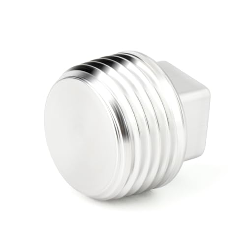 TAISHER 5Pcs 304 SS Square Thread Socket Pipe Plug Fitting 1/4" NPT Male - size: 1/4" MNPT(Plug)