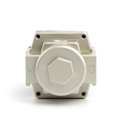 SNS Air Pressure Regulator Female Thread 1/8 NPT 0-150 PSI Adjustable, Bracket, With Gauge AR2000-N01 - color: AR, size: 2000-N01