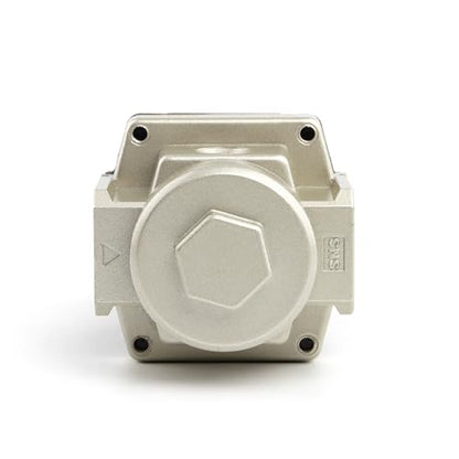 SNS Air Pressure Regulator Female Thread 1/8 NPT 0-150 PSI Adjustable, Bracket, With Gauge AR2000-N01 - color: AR, size: 2000-N01