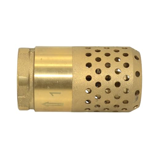 VARMHUS Brass Foot Valve with Strainer, NPT Spring Loaded Check Valve, Lead-Free One-Way Backflow Preventer with Filter Screen for Water Pump and Irrigation Systems (1")