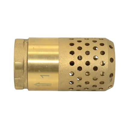 VARMHUS Brass Foot Valve with Strainer, NPT Spring Loaded Check Valve, Lead-Free One-Way Backflow Preventer with Filter Screen for Water Pump and Irrigation Systems (1")