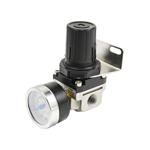 Low Pressure Air Regulator, Air Compressor Pressure Regulator With Bracket and Gauge Female Thread 1/4 NPT Adjustable AR2000-N02 (0-40 PSI), Replace for Pneumatic Cylinder Badger Airbrush