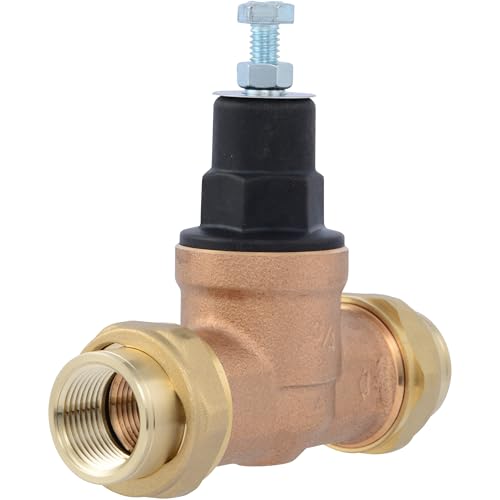 Cash Acme EB45 Pressure Regulating Valve, Double Union, 3/4 Inch NPT Female, Poly Top, 60 PSI, PVA16P-DUTH-60, Brass - size: 3/4 in., Poly Top