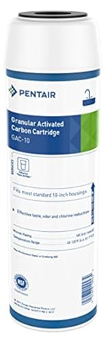 Pentair Pentek GAC-10 Carbon Water Filter Cartridge, 10 inch Granular Activated Carbon for Chlorine Taste and Odor Reduction, 2.88" x 9.75" Drinking Water - size: Pack of 1, style: 10" x 2.5"