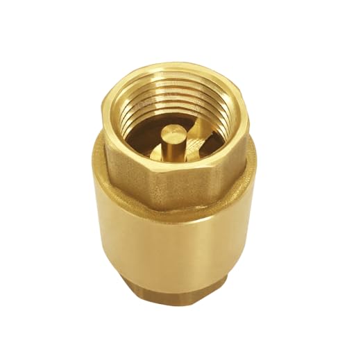 Hooshing 2PCS Spring Check Valve 1/2" NPT Female Thread Backflow Preventer - size: 1/2" NPT