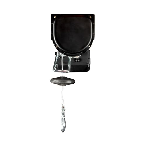 Prowinch Electric Hoist, 110V/120V, 440lbs Lifting Capacity, 38ft Lifting Height, Wireless Remote Control, Upper & Lower Limit Switches for Home Improvement, Warehouse Clearance, Garage Hoist System - size: 440 lb Wireless Remote