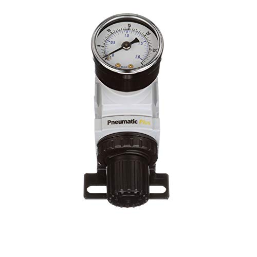 PneumaticPlus PPR2-N02BG-2 Low Pressure Air Regulator, 0-30 PSI, 1/4" NPT - size: 1/4" NPT (3-30 PSI)