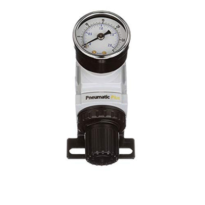PneumaticPlus PPR2-N02BG-2 Low Pressure Air Regulator, 0-30 PSI, 1/4" NPT - size: 1/4" NPT (3-30 PSI)
