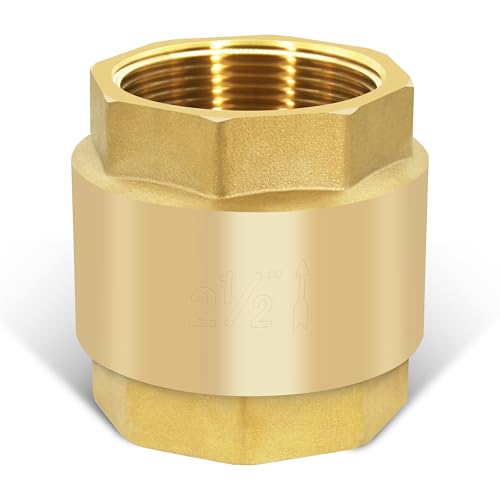 2-1/2" NPT Vertical Spring Check Valve, Brass Heavy-Duty Female Thread DN65 - size: 2-1/2"-NPT