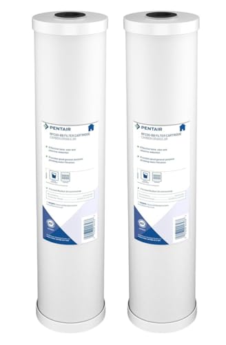 Pentair Pentek RFC20-BB Big Blue 20" x 4.5" Carbon Water Filter, Pack of 2 - size: Pack of 2, style: 20" x 4.5"