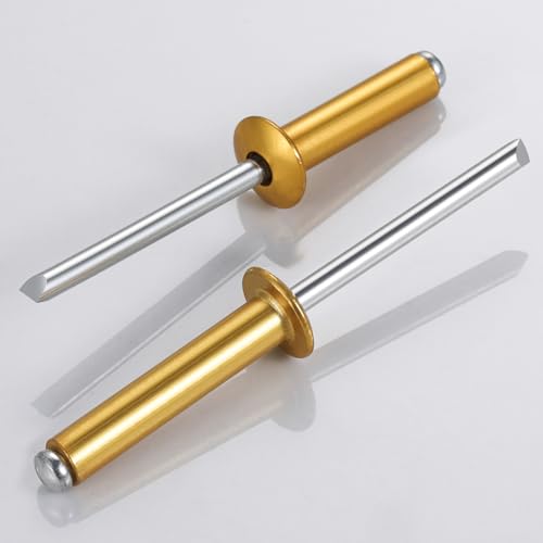 Wensilon (400 Pcs) 1/8"x1/4" Golden Aluminum blind pro Rivets,Golden Aluminum Grip and Steel Mandrel - color: Golden Aluminum, size: 1/8"x1/4"
