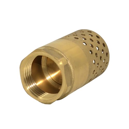 VARMHUS Brass Foot Valve with Strainer, NPT Spring Loaded Check Valve, Lead-Free One-Way Backflow Preventer with Filter Screen for Water Pump and Irrigation Systems (1")