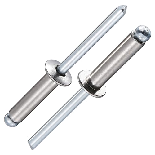Wensilon (100Pcs)1/4"x5/8" stainless steel blind pro Rivets,Steel handle and stainless steel mandrel - color: Stainless Steel, size: 1/4"x5/8"