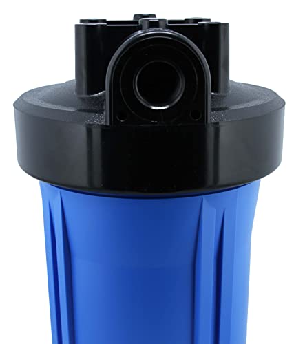 10" Neo-Pure Black/Blue Filter Housing | Blue Sump with Black Cap | No Pressure Relief or Standard Cap | 1 Inch NPT Connection | Durable Water Filtration System Housing - size: 1 Inch NPT, style: Standard