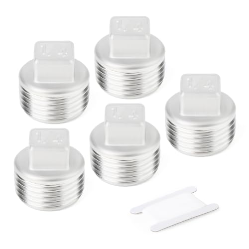 TAISHER 5Pcs 316 SS Cast Square Head 1/4"NPT Male Socket Pipe Plug - size: 1/4" MNPT(316 Plug)