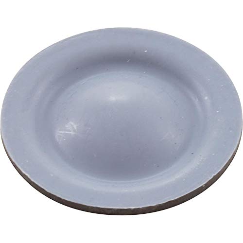 Blue-White Ep-Teflon Diaphragm C-406T