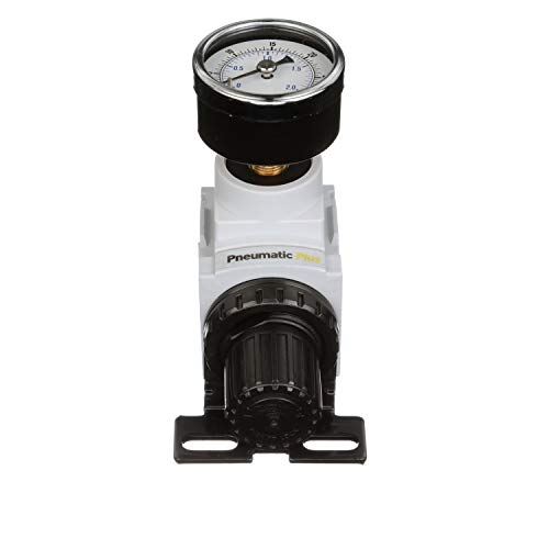 PneumaticPlus PPR2-N02BG-2 Low Pressure Air Regulator, 0-30 PSI, 1/4" NPT - size: 1/4" NPT (3-30 PSI)