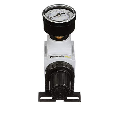 PneumaticPlus PPR2-N02BG-2 Low Pressure Air Regulator, 0-30 PSI, 1/4" NPT - size: 1/4" NPT (3-30 PSI)