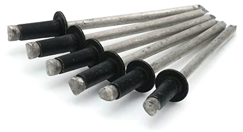 Colored Pop Rivets 1/8 Diameter #4 304 Stainless Steel Painted Blind Rivets 4-3, 1/8" x 3/16" Grip (100, Black) - color: Black