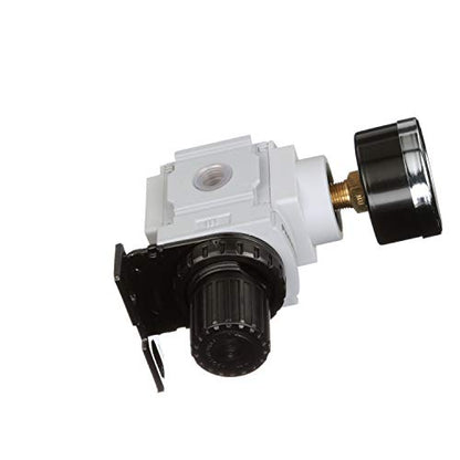 PneumaticPlus PPR2-N02BG-2 Low Pressure Air Regulator, 0-30 PSI, 1/4" NPT - size: 1/4" NPT (3-30 PSI)