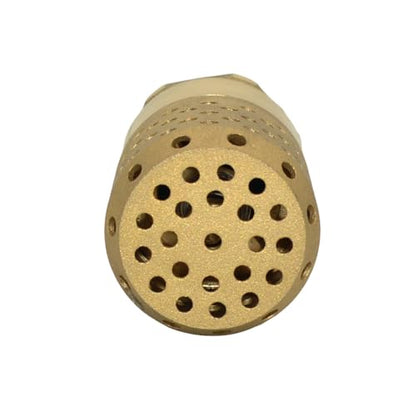 VARMHUS Brass Foot Valve with Strainer, NPT Spring Loaded Check Valve, Lead-Free One-Way Backflow Preventer with Filter Screen for Water Pump and Irrigation Systems (1")