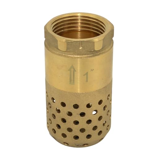 VARMHUS Brass Foot Valve with Strainer, NPT Spring Loaded Check Valve, Lead-Free One-Way Backflow Preventer with Filter Screen for Water Pump and Irrigation Systems (1")