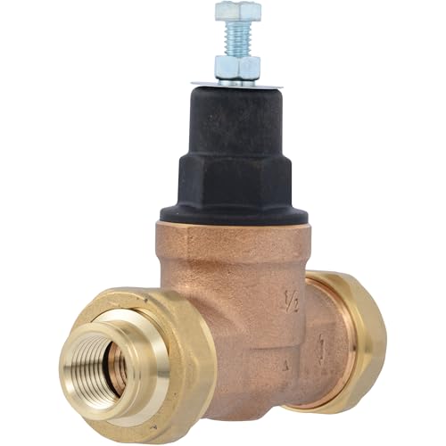 Cash Acme EB45 Pressure Regulating Valve, Double Union, 1/2 Inch NPT Female, Poly Top, 60 PSI, PVA08P-DUTH-60 - size: 1/2 in., Poly Top