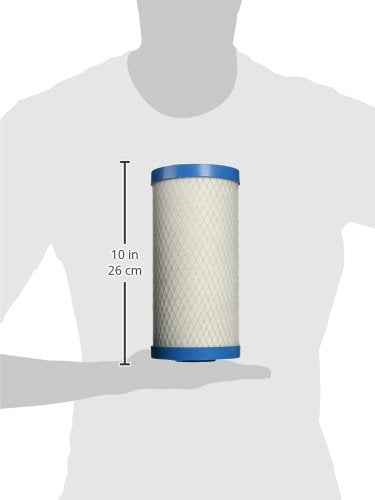 Pentair Pentek ChlorPlus 10BB Big Blue 10" x 4.5" Carbon Water Filter - style: 10" x 4.5"