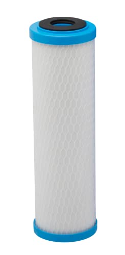 Pentair Pentek ChlorPlus Protect 10 Carbon Block Water Filter - style: 10" Protect