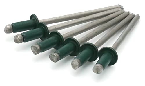 Colored Pop Rivets 1/8 Diameter #4 304 Stainless Steel Painted Blind Rivets 4-3, 1/8" x 3/16" Grip (100, Evergreen) - color: Evergreen
