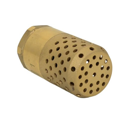 VARMHUS Brass Foot Valve with Strainer, NPT Spring Loaded Check Valve, Lead-Free One-Way Backflow Preventer with Filter Screen for Water Pump and Irrigation Systems (1")