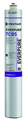 Everpure EV961816 7CB5 Filter Cartridge,1