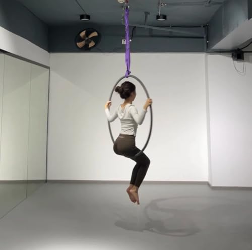 Purple Spanset Endless 4 Feet Round Sling Heavy Duty Polyester Lifting Sling, 5,300 Lbs Vertical Capacity, 4,240 Lbs Choker, 10,600 Lbs Basket - color: Purple, size: 4FT