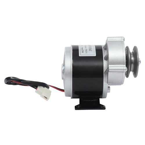 Reduction Electric Motor, 250W Brushed DC Motor with Belt Pulley, Brushed Geared Reduction Motors Reducer for Small Electric Vehicles and Agricultural Equipments, 0-300rpm Adjustment (36, Volts (DC))
