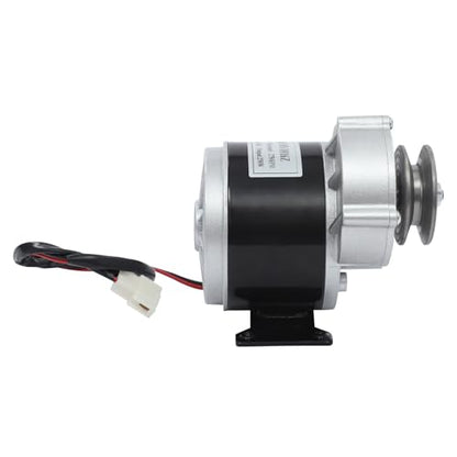 Reduction Electric Motor, 250W Brushed DC Motor with Belt Pulley, Brushed Geared Reduction Motors Reducer for Small Electric Vehicles and Agricultural Equipments, 0-300rpm Adjustment (36, Volts (DC))