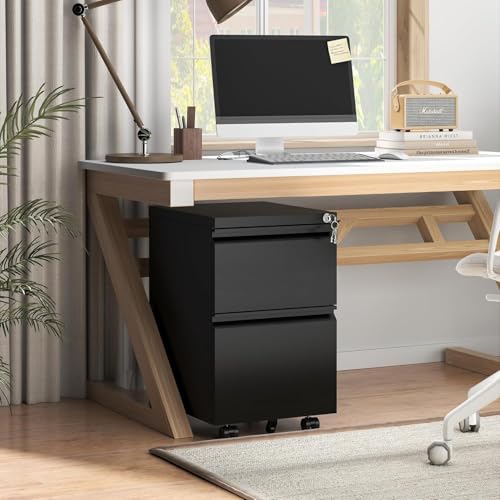 Guizeeopo 2 Drawer Locking File Cabinet, Fully Assembled Heavy-Duty Metal Filing Cabinets for Home Office, Quiet Slides, Anti-Tipping Wheels, Fits A4/Letter/Legal, Matte Black - color: 04-b Black