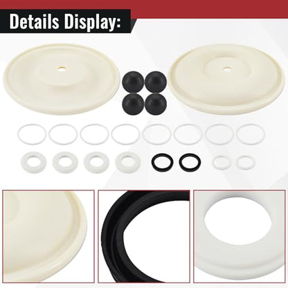 D07-525 Diaphragm Pump Repair Kit