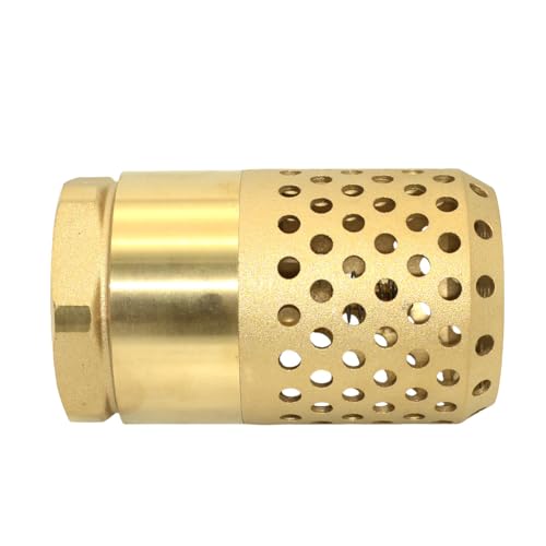 VARMHUS Brass Foot Valve with Strainer, NPT Spring Loaded Check Valve, Lead-Free One-Way Backflow Preventer with Filter Screen for Water Pump and Irrigation Systems (2")