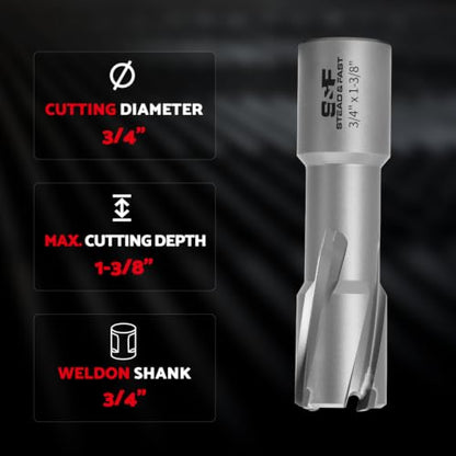 Carbide Annular Cutter, 3/4” Diameter, 1-3/8" DOC, Stack Cutting - size: 3/4 x 1-3/8" ST